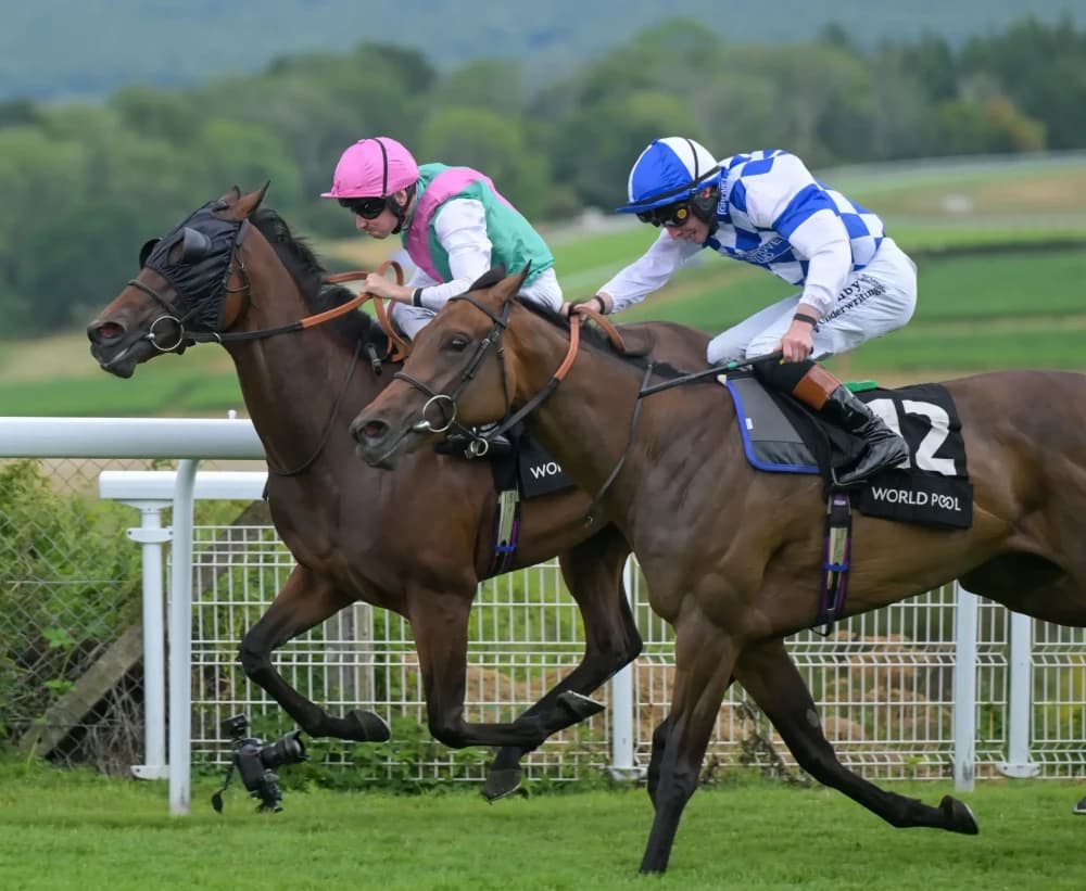 How a Welsh Horse Made a Bit of Glorious Goodwood History to Continue Brilliant Season