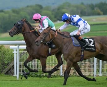 How a Welsh Horse Made a Bit of Glorious Goodwood History to Continue Brilliant Season